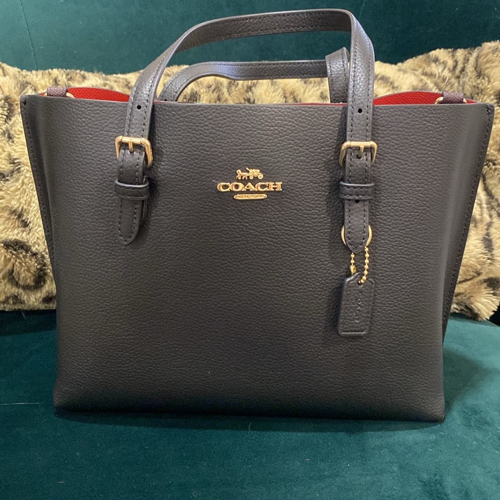 Coach Mollie Tote Bag 25